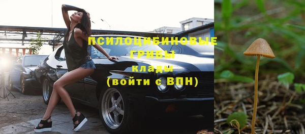 spice Каменск-Шахтинский