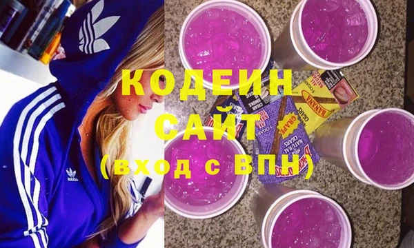 стаф Ельня