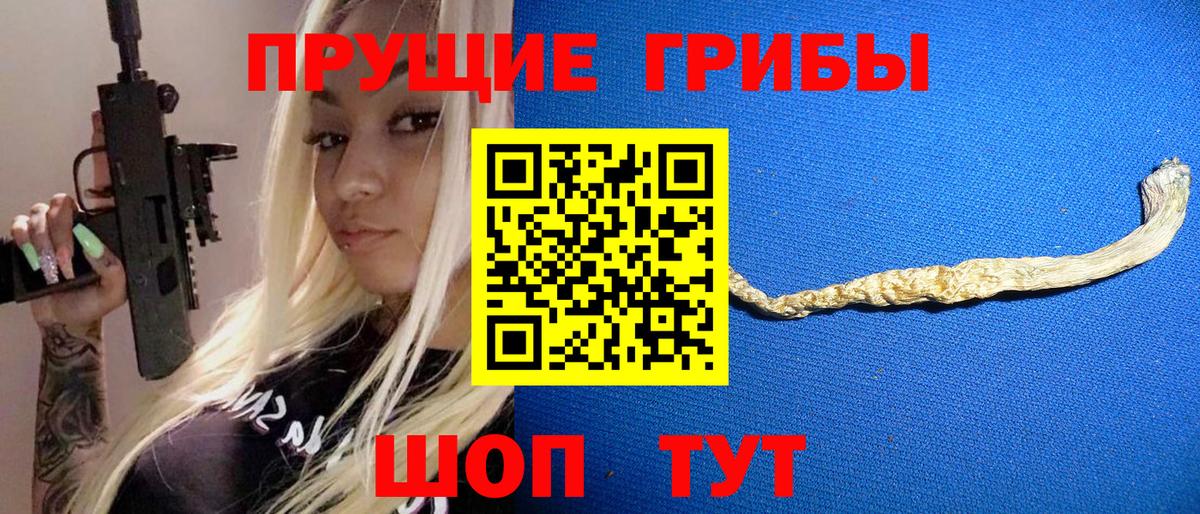 Каменка  Псилоцибиновые грибы Magic Shrooms  хочу наркоту  Псилоцибиновые грибы Psilocybine cubensis  Вход с VPN 