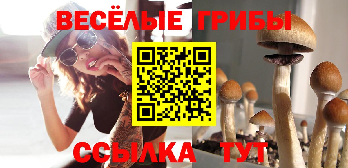 Псилоцибиновые грибы ЛСД Каменка